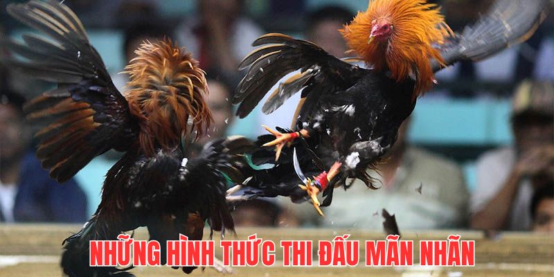 Tìm hiểu những hình thức thi đấu bùng nổ tại đơn vị cược