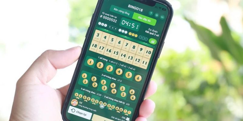 Khám phá những bí quyết cược Bingo thành công ngay từ lần đầu