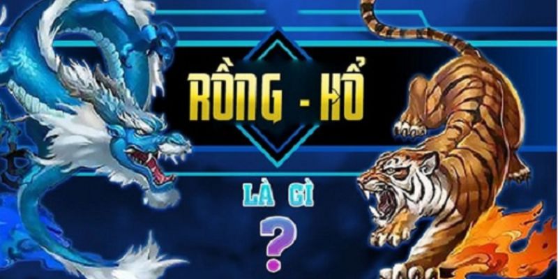 Một vài thông tin về game rồng hổ 